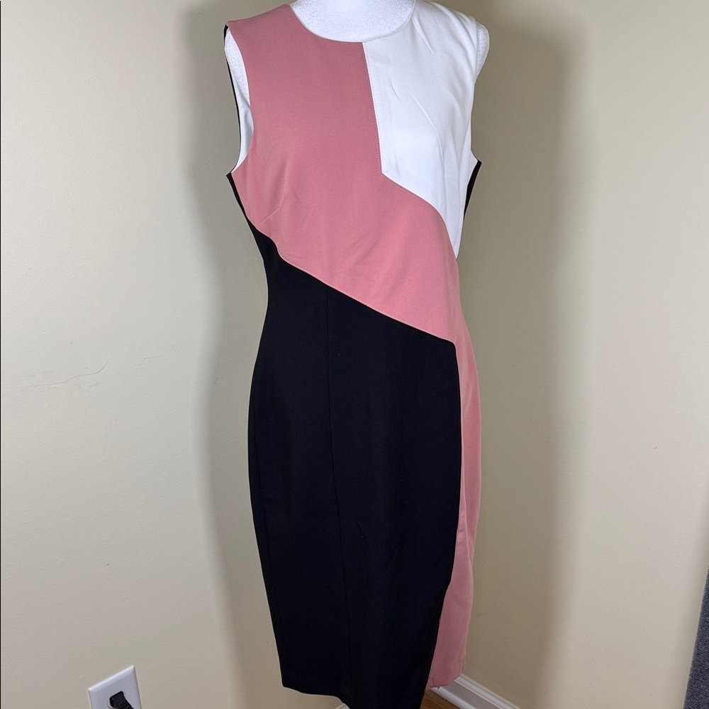 White House Black Market Asymmetrical Design Pink and Black Dress (DJ2)